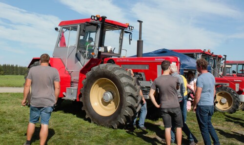 20231003-Oldtimertreffen-Ammersee-Trecker-1.jpg