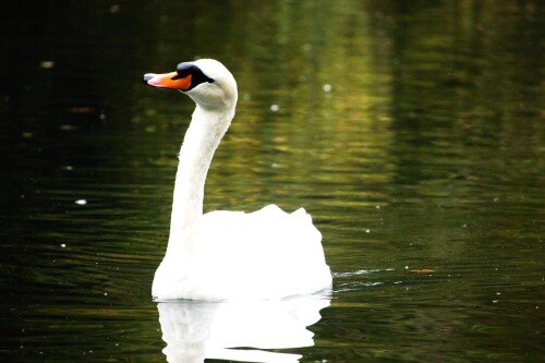 20231005 Donaueschingen (12)