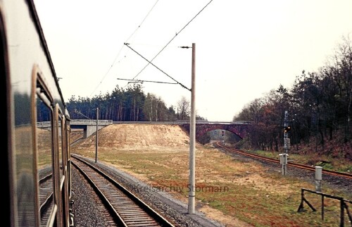 Buchholz-Buchholz-1977-2.jpg