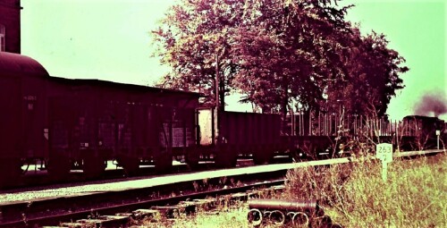 1965-Trittau-Bahnhof-Guterverkehr-6.jpg