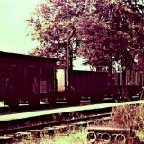 1965-Trittau-Bahnhof-Guterverkehr-6