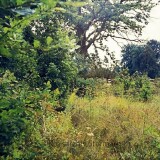 1974-Trittau-Bahnhof-11