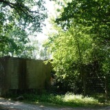 2023-Trittau-Radwanderweg-Natur-Baume-Wiesen-1