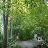 20230613aschwarzenbekhhdzn