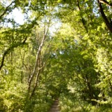 20230613aschwarzenbekl2dv8