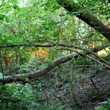 20230613aschwarzenbekyyd3k