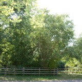 Dahmker_Bahnhof_2023_Haltestelle-3