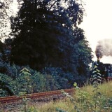 Schwarzenbek_Bahnhof_nach_Trittau_1974_historischer_Zug-1