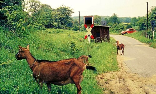 Sprenge_Bahnhof_Haltestelle_1976_nach_der_Stillllegung_der_Bahn_DB-2.jpg