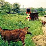 Sprenge_Bahnhof_Haltestelle_1976_nach_der_Stillllegung_der_Bahn_DB-2