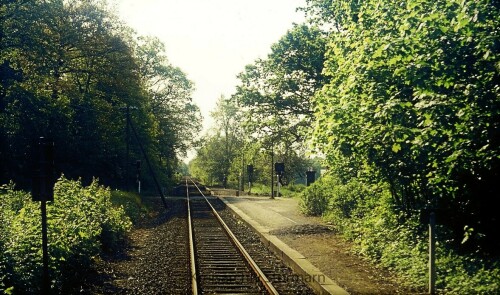 Trittau_Vorburg_Bahnhof_1976_Haltestelle-1.jpg