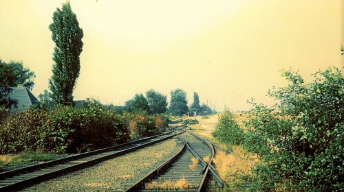 glinde_Gleisanlagen_1971_Industrieanschlus-2.jpg