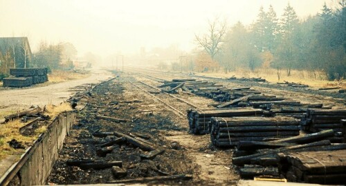 trittau1981demontage-Gleise-Bahnhof-6.jpg