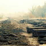 trittau1981demontage-Gleise-Bahnhof-6