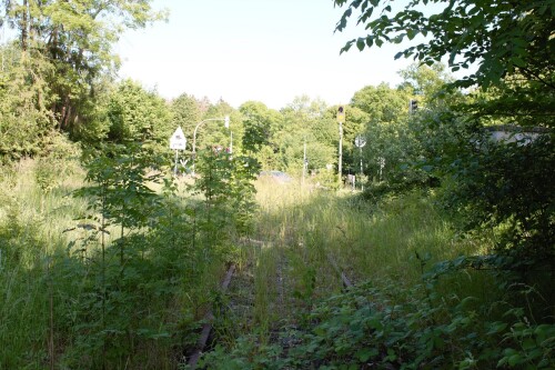 20230603 Blumenau u. Bad Oldesloe d