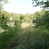 20230603-Blumenau-u.-Bad-Oldesloe-d