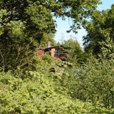 20230603-Blumenau-u.-Bad-Oldesloe-f-2