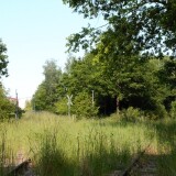 20230603-Blumenau-u.-Bad-Oldesloe-h