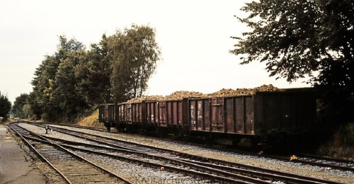 Blumenau_Bahnhof_Industriegleis_1979_Zuckerrubenzug_ernte_Bad_Oldesloe_Elmshorn_EBOE.jpg