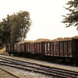 Blumenau_Bahnhof_Industriegleis_1979_Zuckerrubenzug_ernte_Bad_Oldesloe_Elmshorn_EBOE