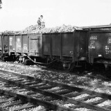 Blumenau_Bahnhof_Industriegleis_1983_Zuckerruben_Ernte_Verladung_Bad_Oldesloe_Elmshorn_EBOE-1