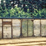 Kisdorf_Bahnhof_1973-Henstedt_preusischer_Guterwagen_Lagerschuppen
