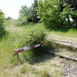 20230605-Hollenbek-c-1a