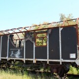 20230605-Hollenbek-e-4