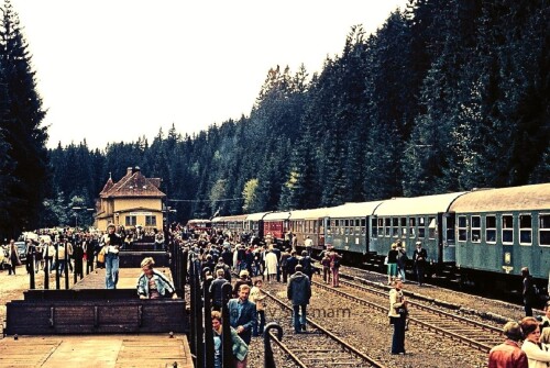 a-Lauthenthal_Bahnhof_1976_Br_044_Bahnsteigdach_Oberharz_Stilllegung_Eisenbahnstrecke_Oberharz-2.jpg