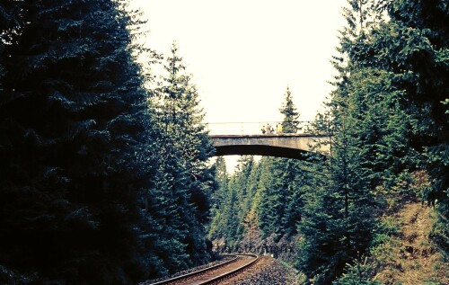 b-Altenau_Lauthenthal_Bahnhof_1976_Langelsheim_Oberharz_Bahnstrecke_Brucke.jpg