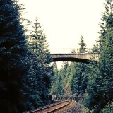 b-Altenau_Lauthenthal_Bahnhof_1976_Langelsheim_Oberharz_Bahnstrecke_Brucke