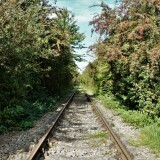 202109_zwischen_Schmilau_Hollenbek-2