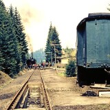 KPEV_C4u-Altenau_Bahnhof_BR_044_534_letzte-Fahrt_Strecke_Stillllegung_1976_Altbauwagen_Gartenhaus-1