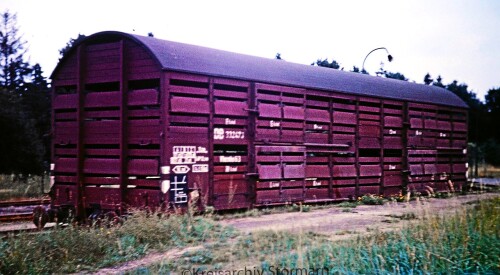 Schweinetransportwaggon_1967_per_Bahn_Hittfeld_Hbf.jpg