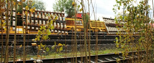 Schwarzenbek_Bahnhof_Tausch_Weichen_Bauzug_2024_Okt_Streckenerneuerung_Zug-ea-3.jpg