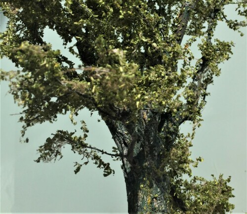 20200616-Baume-baum-h0-1zu87-aus-Naturmeterialien-14.jpg
