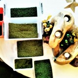 20201208-neues-Laub-1