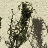 20200417-Baumbau-H0-aus-naturmaterialien-eine-Wurzel-19