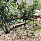 20201010-Mein-Modul-Naturmaterialien-8