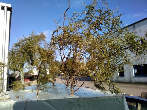 20210907 Baumbau mit Naturmaterialien ab (2)