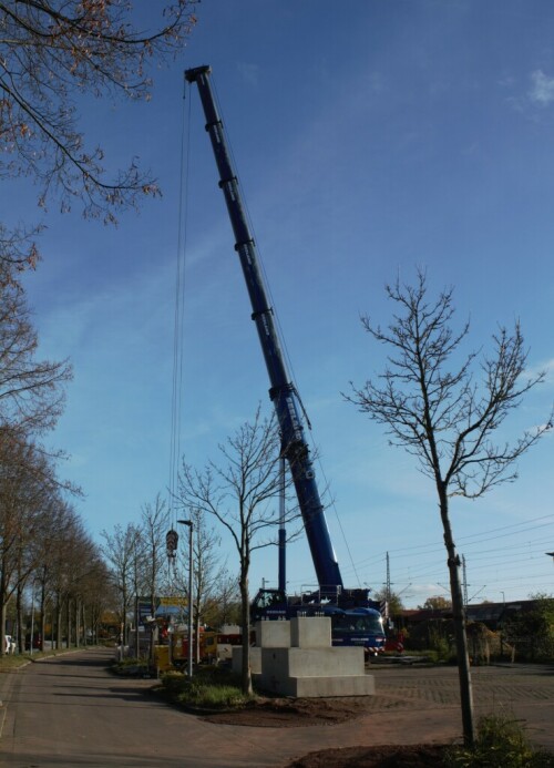 Grove_Schwerlastkran_Teleskopkran_Seeland_Ham_Schwarzenbek_Bahnhof_Modernisierung_2024_Bahnsteigdach-2.jpg