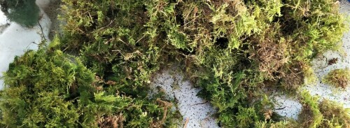 20200416 Sortieren von Naturmaterialien Baumbau (18a