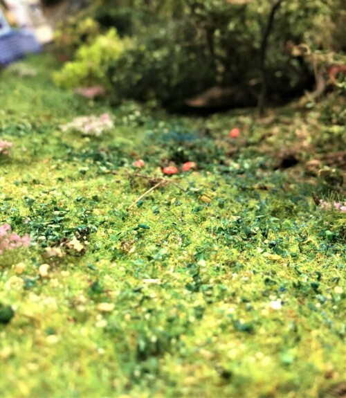 20201016 Wilde Wiese, Waldgrenze und Unterholz (3)