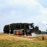 Bad_Essen_Bahnhof_1980_Dampfzug_Dampflok_a