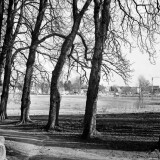 Ahrensburg_Kastanienallee_1980