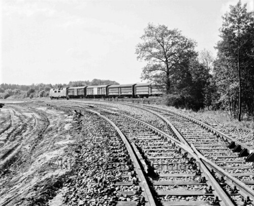 Ahrensburg-1971-Industriegleis-am-Kornkamp-1971-1.jpg