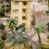 202207-MiWuLa-Rio-111-2