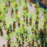 Miniaturwunderland_MiWuLa_Rio_de_Janeiro_bei-Nacht_Karneval-t-5