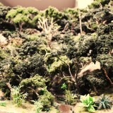 Urwald_Forrest_Brasilien_Rio_de_Janeiro_Miniaturwunderland_MiWuLa_Modellbahn_Hamburg_x-5