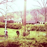 MindeN_Bahnhof_Friedrich_Wilhelm_Strase_1966_z_Park_Dampflok